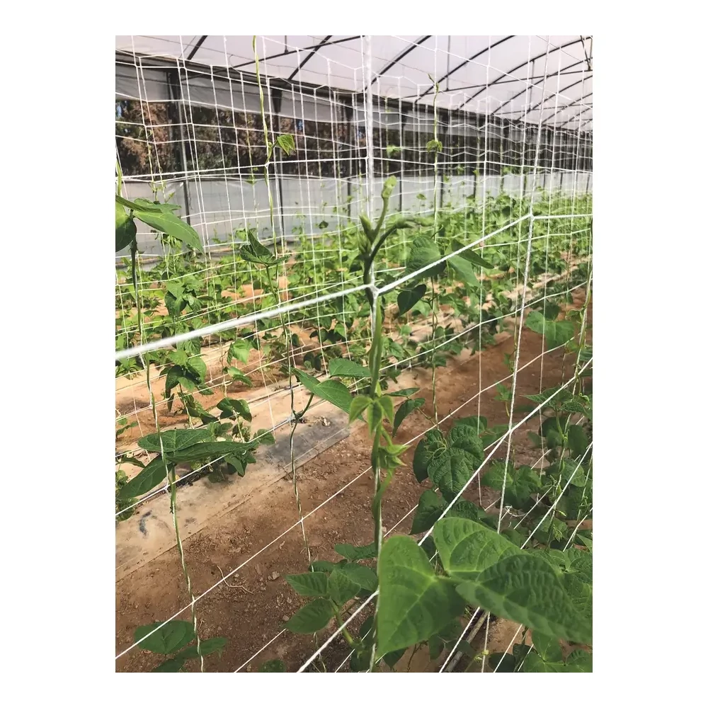 Trellinet Compost cellulózból készült lebomló növénytartó háló 20x20cm 2x5m fehér