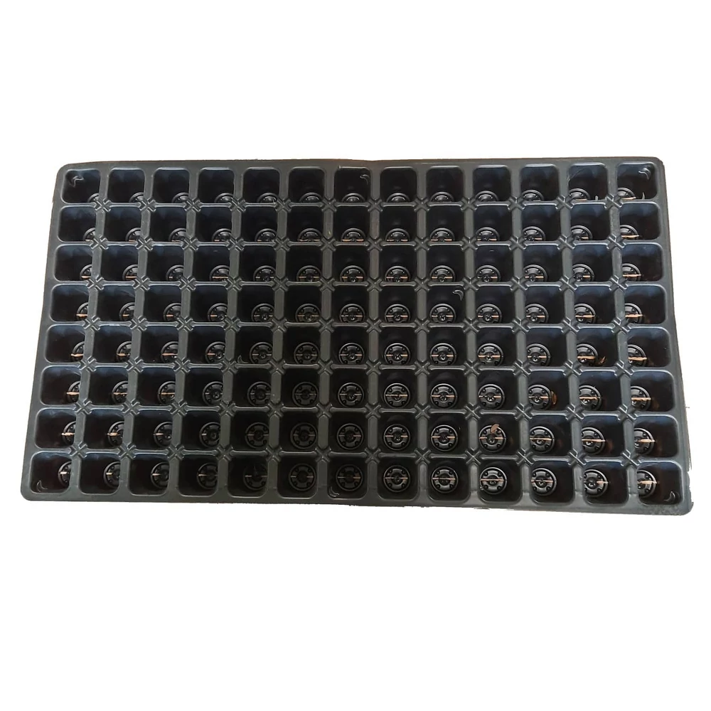 Szaporítótálca 104 Lyukas