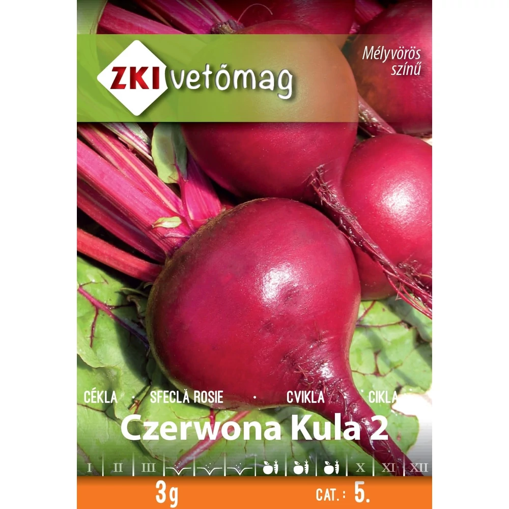 ZKI Gömbcékla (Czerwona Kula 2) Vetőmag 3G