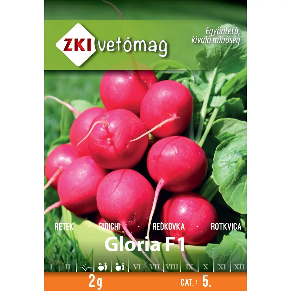 ZKI Retek (Gloria F1) Vetőmag 2G