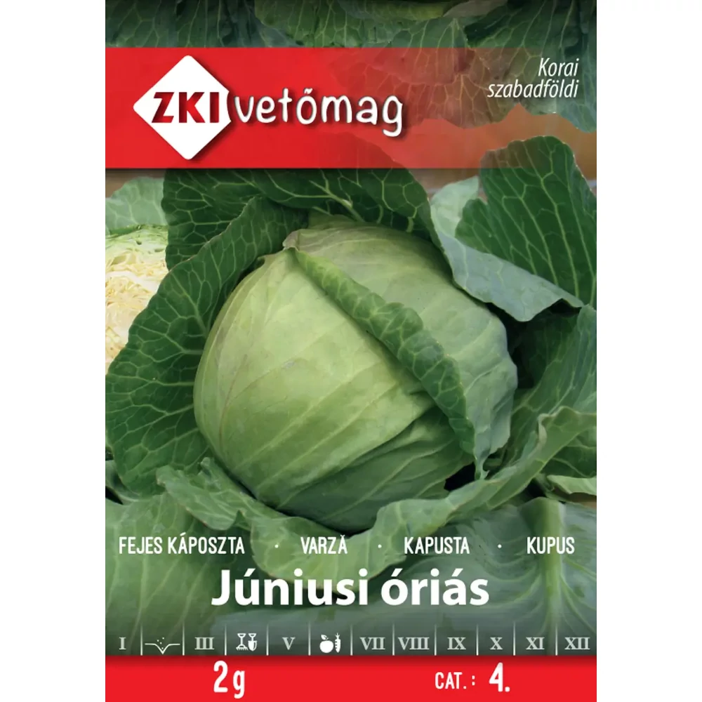 ZKI Fejes káposzta (Júniusi óriás) vetőmag 2g
