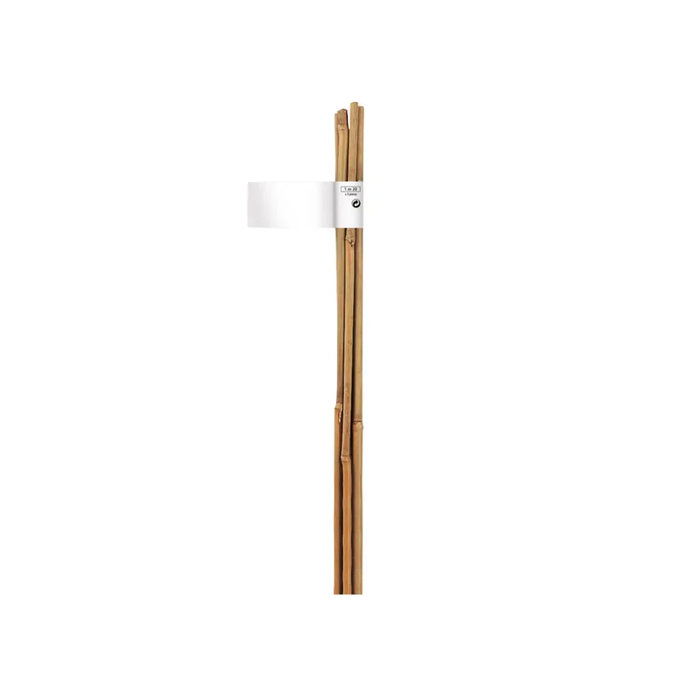 Nortene BAMBOO - Bambusz termesztő karó 0,6 m bambusz