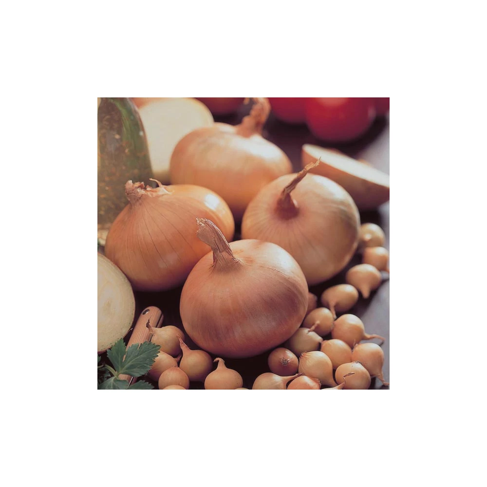 Dughagyma Stuttgarter Riessen 14-19mm (250G)