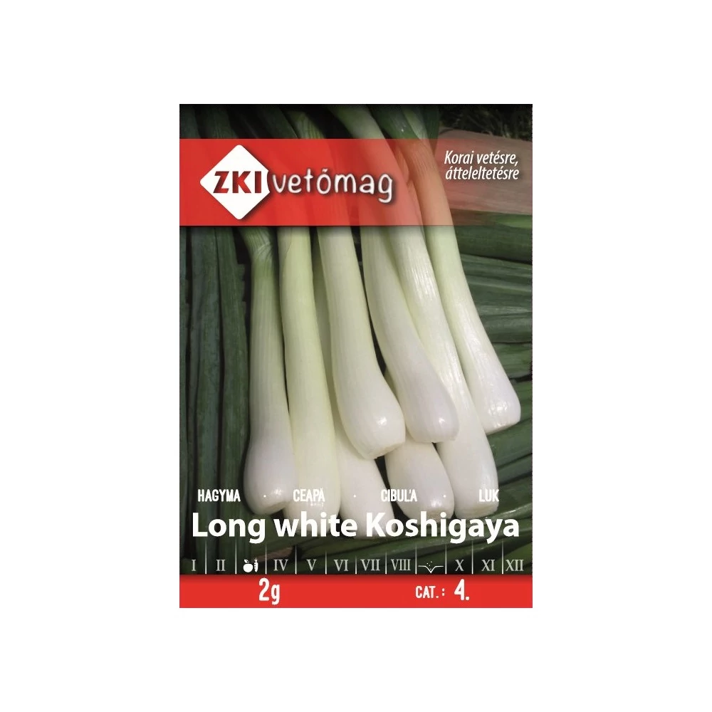 ZKI Hagyma (Long White Koshigaya) Vetőmag 2G