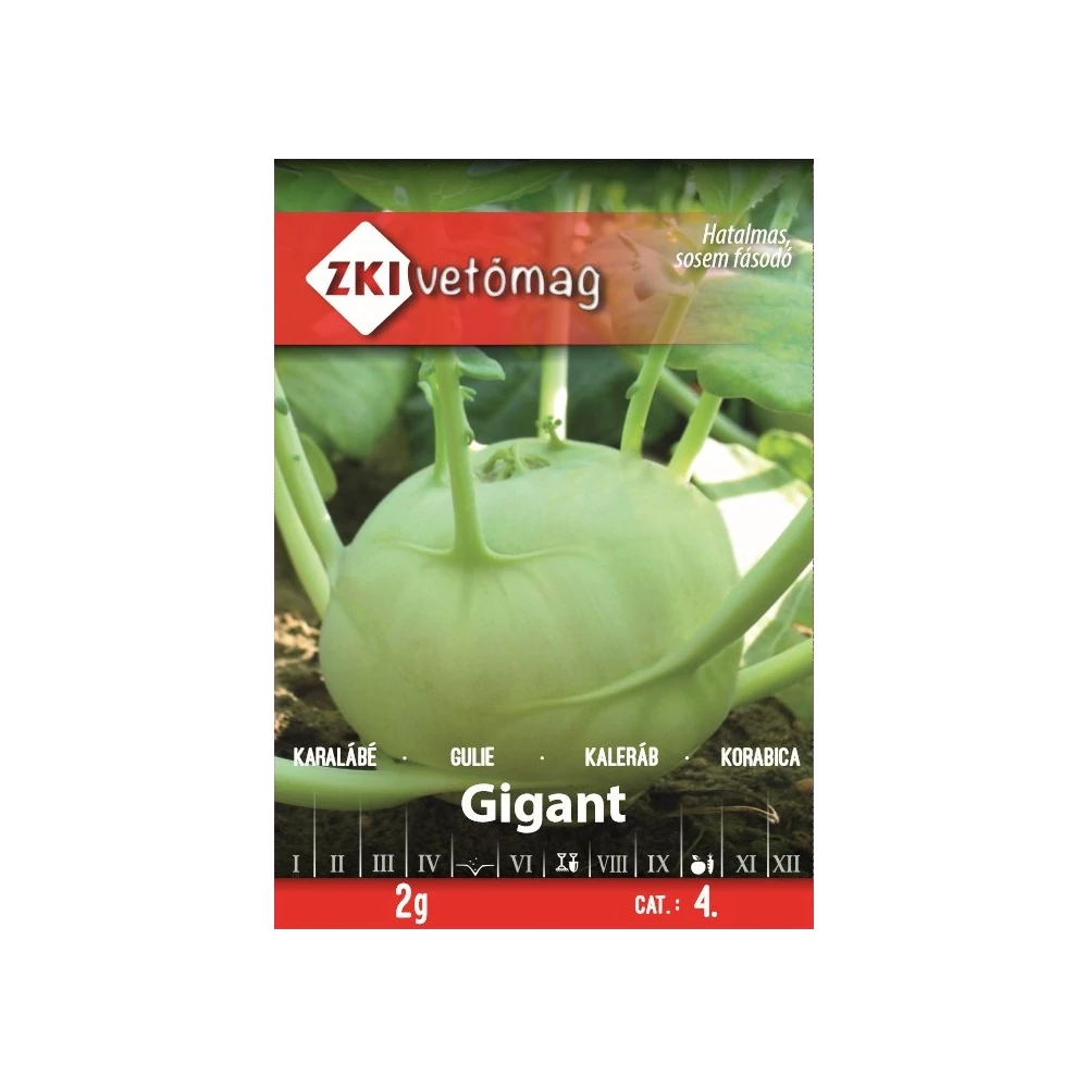 ZKI Karalábé (Gigant) Vetőmag 2G