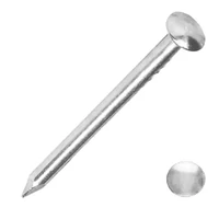 Kép 1/3 - Acéltűszeg Horganyzott "B" 2.0X30mm (Kb. 50db)