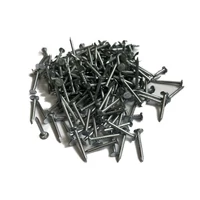 Kép 1/2 - Horganyzott Palaszeg 25mm 250G