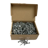 Kép 1/2 - Horganyzott Palaszeg 30mm 1kg