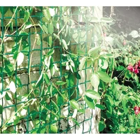 Kép 2/3 - Nortene Climbanet műanyag kertirács zöld 46x44mm 50cm (25m)