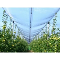 Kép 2/4 - Nortene Hailnet hurkolt jégkár elleni védőháló 3x10m