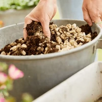 Kép 3/5 - Compo Bio Granuplant vízelvezető és ültetőgranulátum 5L