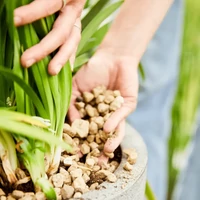 Kép 4/5 - Compo Bio Granuplant vízelvezető és ültetőgranulátum 5L