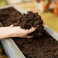 Kép 2/3 - Compo Bio palánta és fűszernövényföld 5L