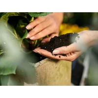 Kép 2/2 - Compo Complete univerzális általános virágföld 10L