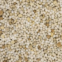 Kép 2/2 - Compo hosszú hatású fenyő és örökzöld műtrágya 2kg