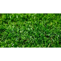 Kép 3/3 - Compo hosszú hatású gyeptrágya (75m2) 2kg