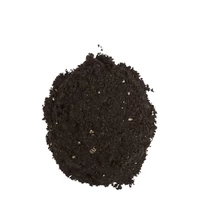 Kép 2/2 - COMPO SANA Dísznövény- és pálmaföld 10L – zöld növényekhez