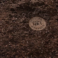 Kép 2/2 - COMPO SANA Kaktuszföld 5L – kaktuszokhoz és pozsgásokhoz