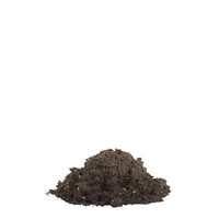 Kép 2/2 - COMPO SANA Általános virágföld 10L – beltéri és kerti növényekhez