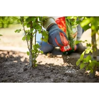 Kép 3/3 - COMPO Sövény Turbó – gyors hatású sövény és örökzöld műtrágya 4kg