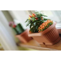 Kép 2/2 - Prosperplast mini balkonláda alátéttel 32cm