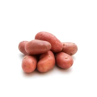 Kép 1/2 - Vetőburgonya Cherie 25-30mm Nagyon Korai (50db)