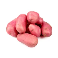 Kép 1/2 - Vetőburgonya Desiree 28-35mm Közép Érésű (50db)