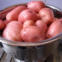 Kép 2/2 - Vetőburgonya Desiree 28-35mm Közép Érésű (50db)