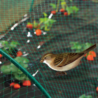 Kép 5/6 - Nortene BIRDNET madárkár elleni védőháló 4x5m