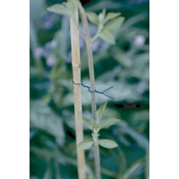 Kép 2/2 - Nortene FP-FIX műanyagozott kerti kötöződrót vágószerkezettel 50m