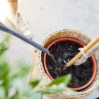 Kép 2/3 - Compo hosszú hatású citrus és mediterrán műtrágya 1,5kg