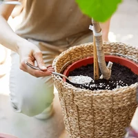 Kép 3/3 - Compo hosszú hatású citrus és mediterrán műtrágya 1,5kg