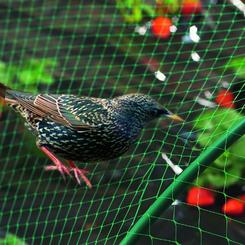 Nortene BIRDNET madárkár elleni védőháló 4x5m