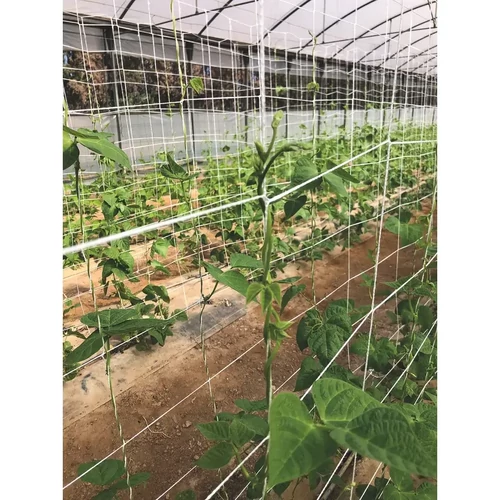 Trellinet Compost cellulózból készült lebomló növénytartó háló 20x20cm 2x5m fehér