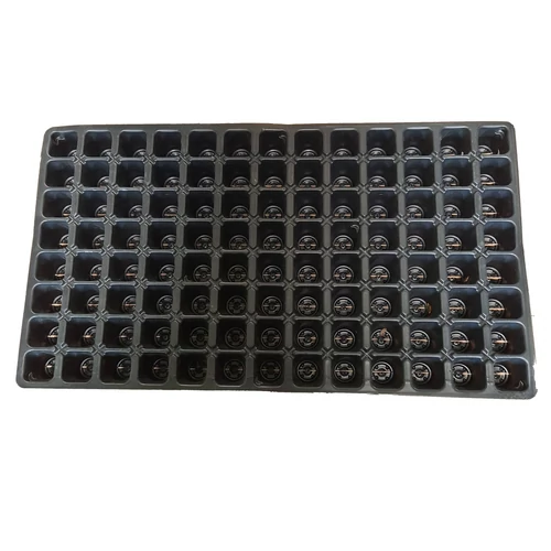 Szaporítótálca 104 Lyukas