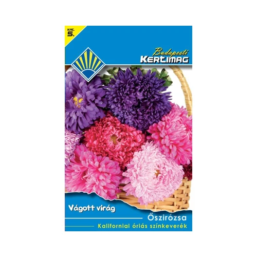 B. Kertimag Őszirózsa (Kaliforniai Óriás Színkeverék) 1G