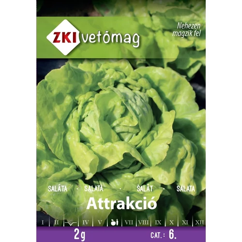 ZKI Saláta (Attrakció) Vetőmag 2G