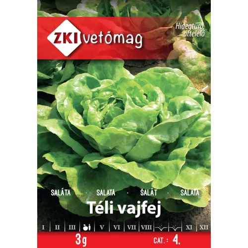 ZKI Saláta (Téli vajfej) vetőmag 3g