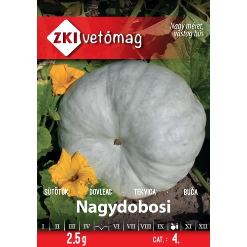 ZKI Sütőtök (Nagydobosi) Vetőmag 2,5g
