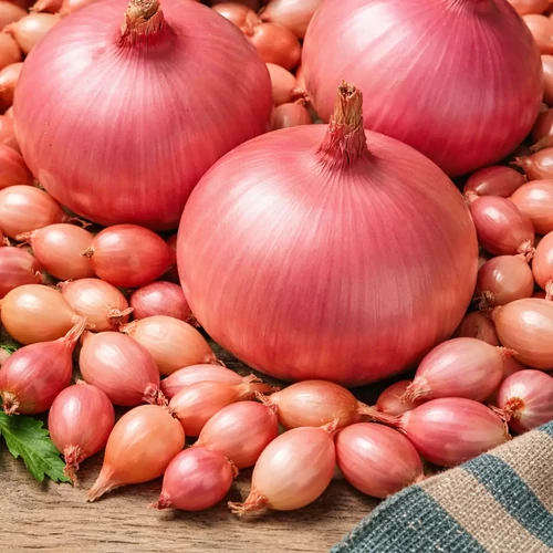 Dughagyma Rózsaszín Ptujski Rdeca Rosanna 14-19mm (250g)