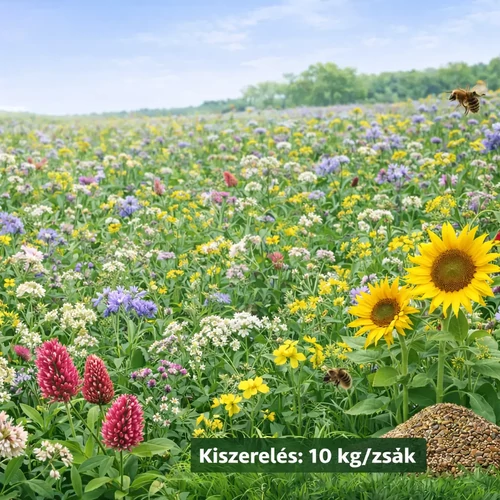 Egynyári méhlegelő magkeverék 10kg