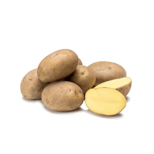 Vetőburgonya Agria 28-35mm Közép Késői (50db)