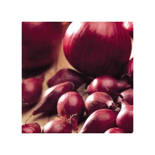 Dughagyma Lila Red Karmen14-19mm (250G)