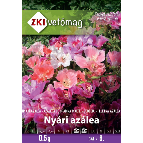 ZKI Nyári azálea magas színkeverék virágmag 0,5g