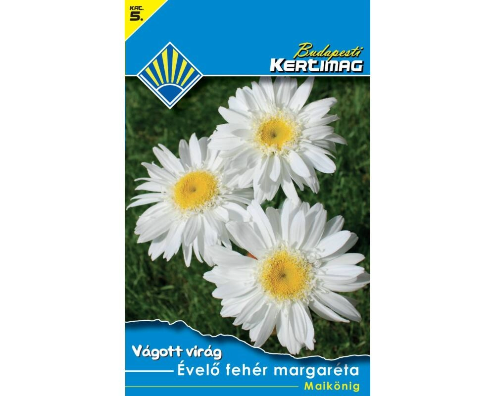B. Kertimag Évelő Fehér Margaréta (Maikönig) 0,5G